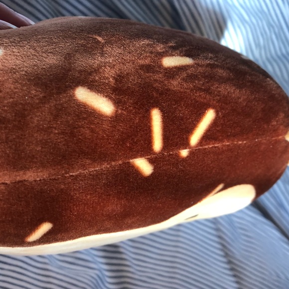 Hans is a hedgehog with a brown body. 7-8 inch - Picture 4 of 8